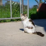Kotrona - Zakynthos Argassi